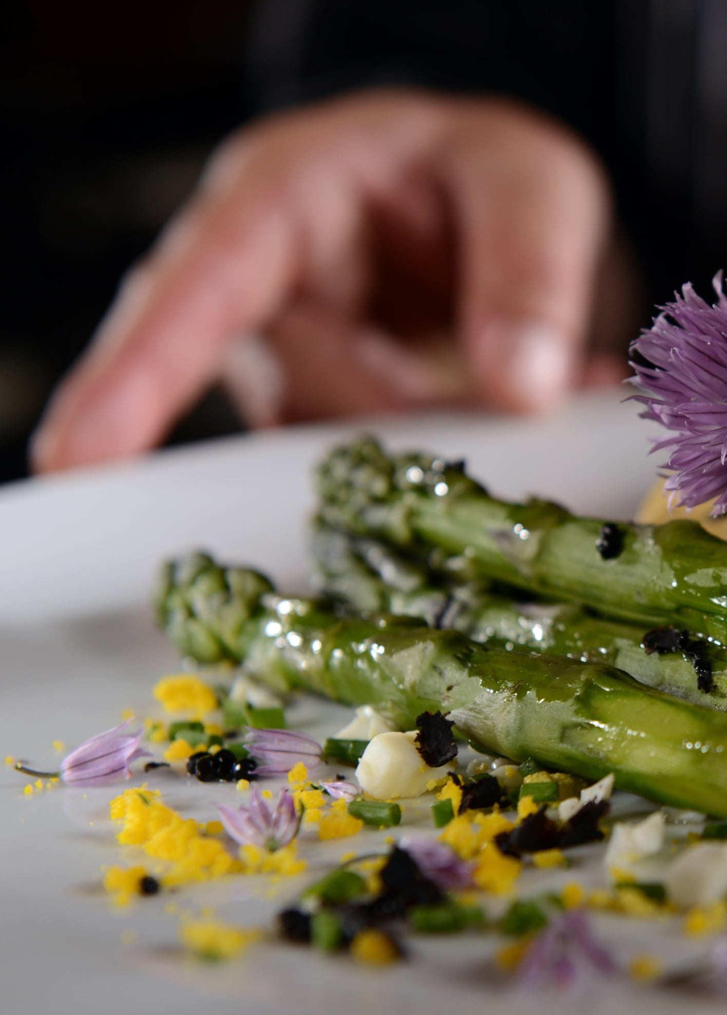 Closeup of Asparagus beautifully plated.